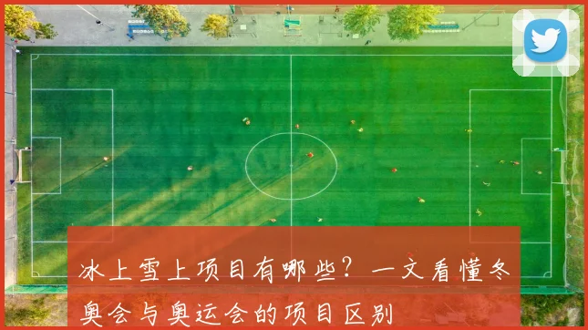冰上雪上项目有哪些？一文看懂冬奥会与奥运会的项目区别