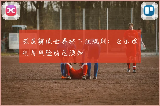 深度解读世界杯下注规则：合法途径与风险防范须知