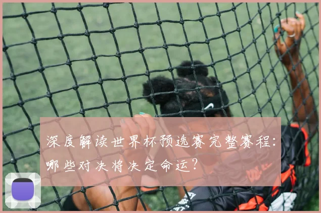 深度解读世界杯预选赛完整赛程：哪些对决将决定命运？